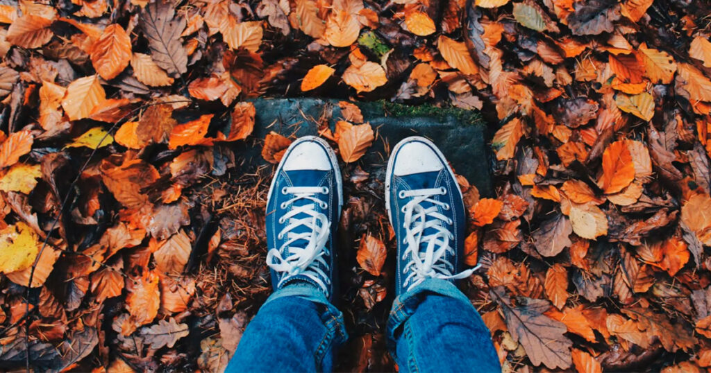 Los 5 destinos ideales para disfrutar el Otoño